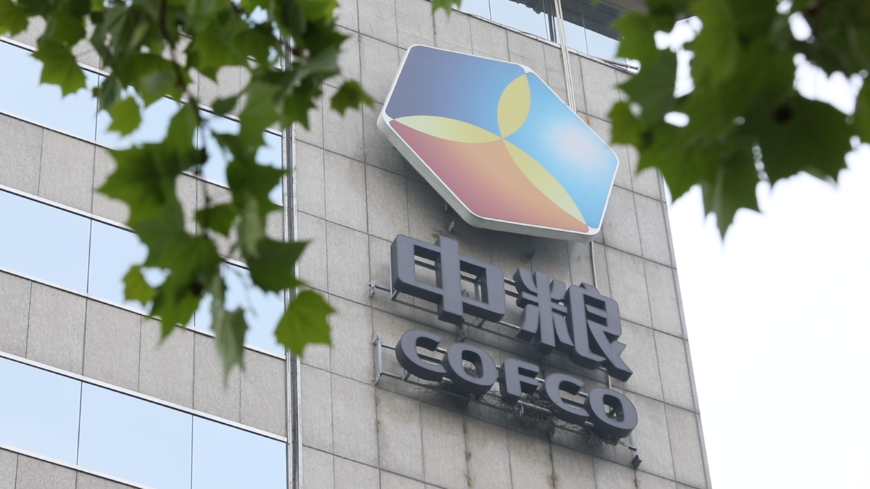 中粮贸易 DDpay钱包官网 数字化转型