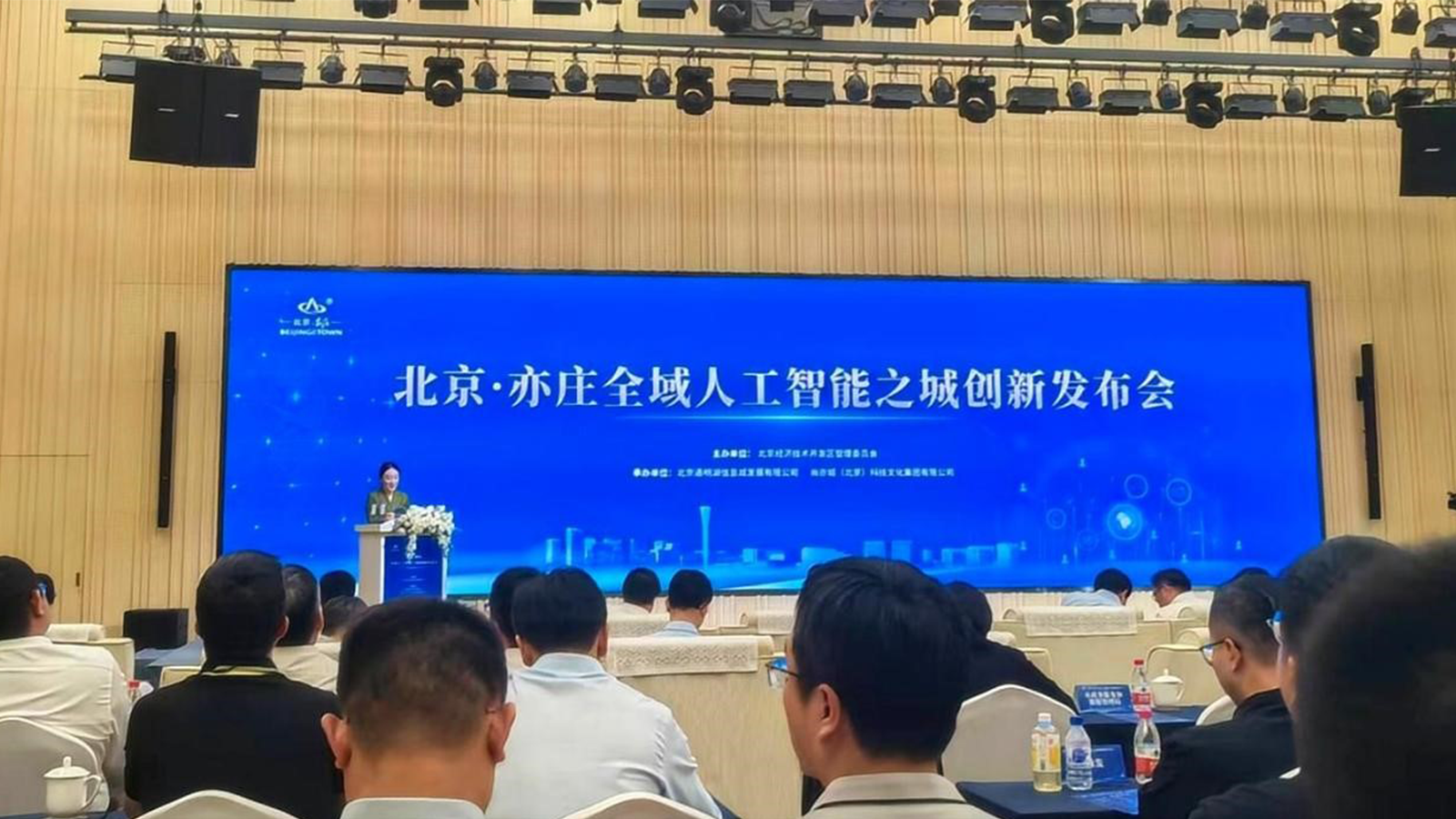 DDpay钱包官网，政务领域大模型